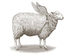 Sheep art 2